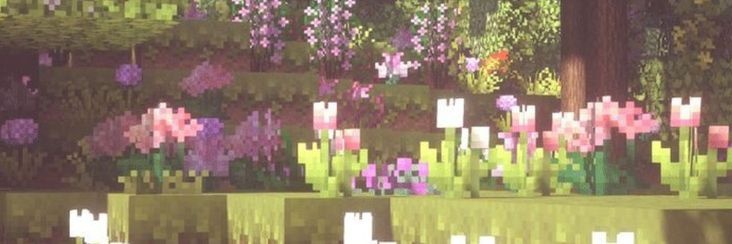 ᴘᴏɴʏ ᴀᴘʟᴀsᴛᴀᴅᴏ𐂃 banner