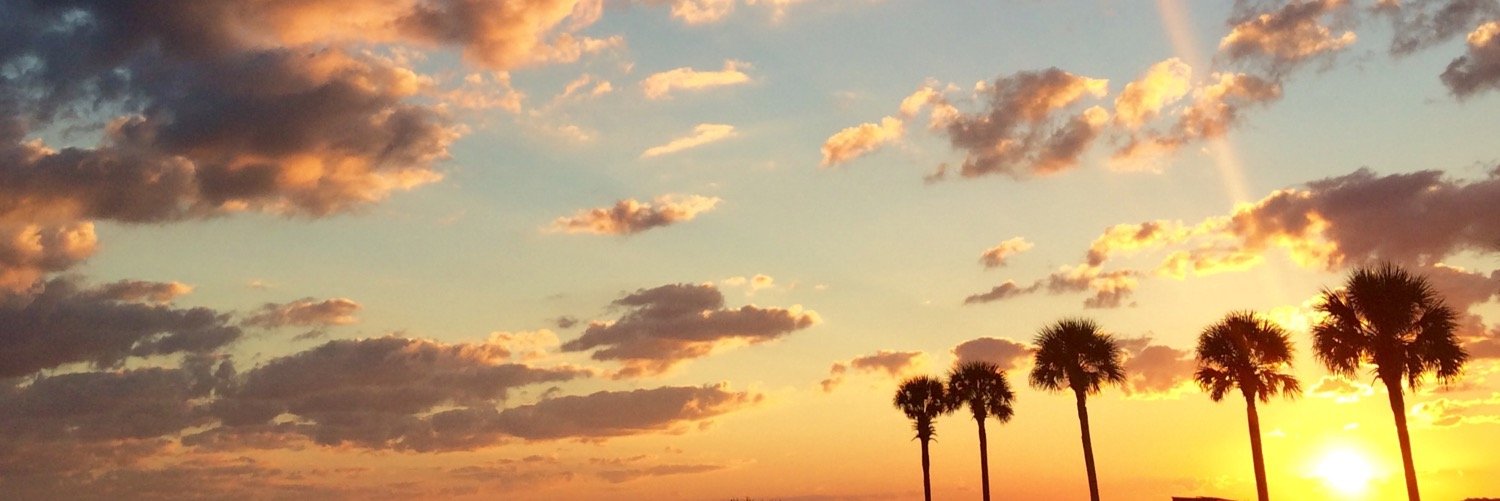 Chels_Nels's profile banner image