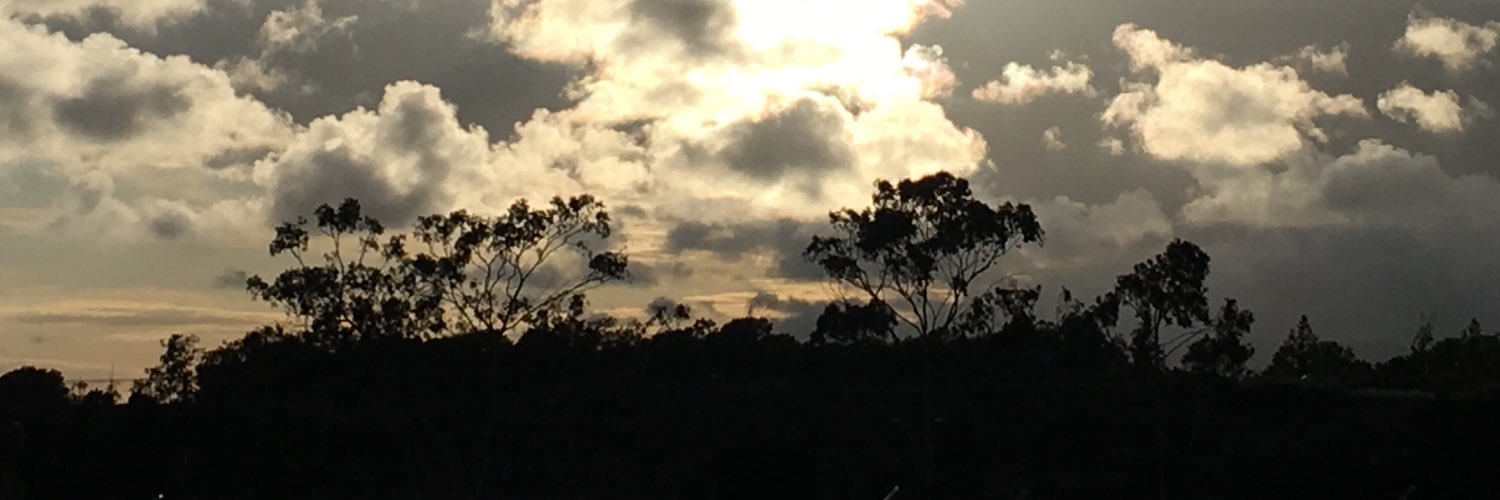 iamnaomisbrain's profile banner image