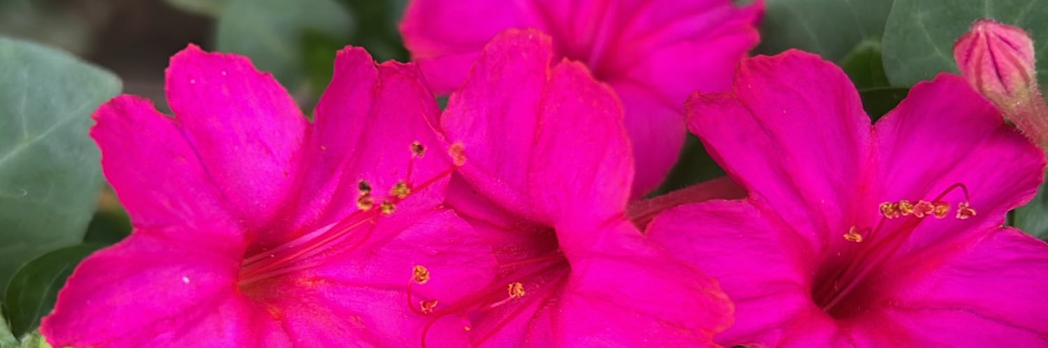 Vermark12Verma's profile banner image