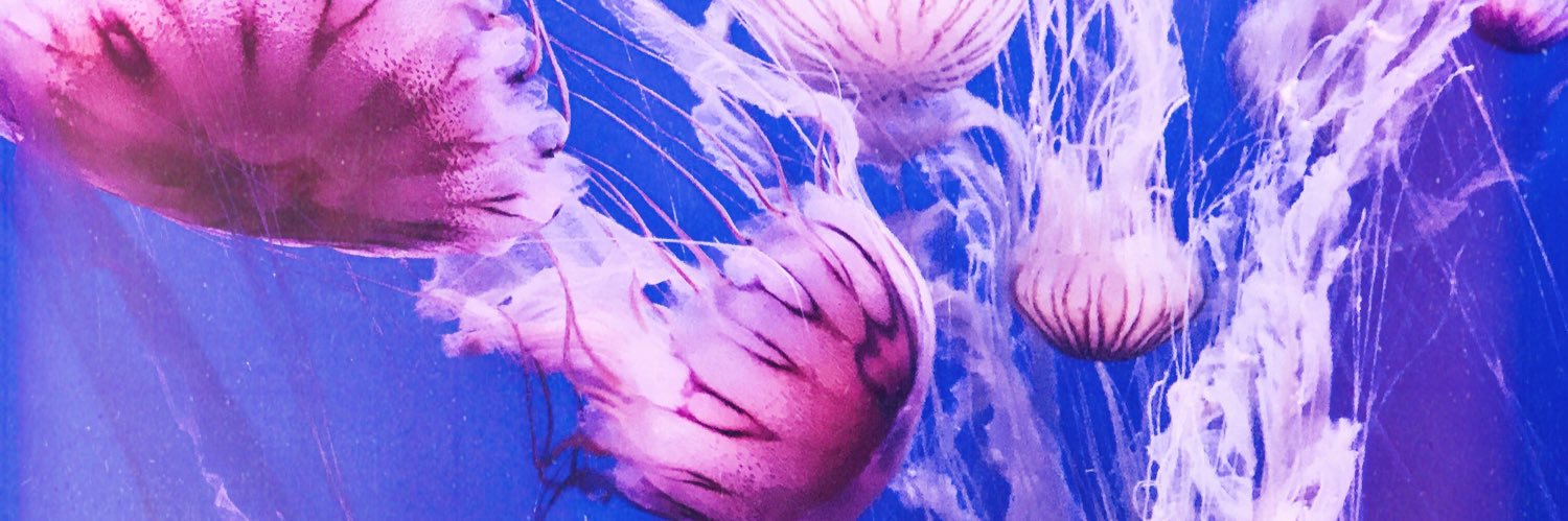 marthamayfair's profile banner image