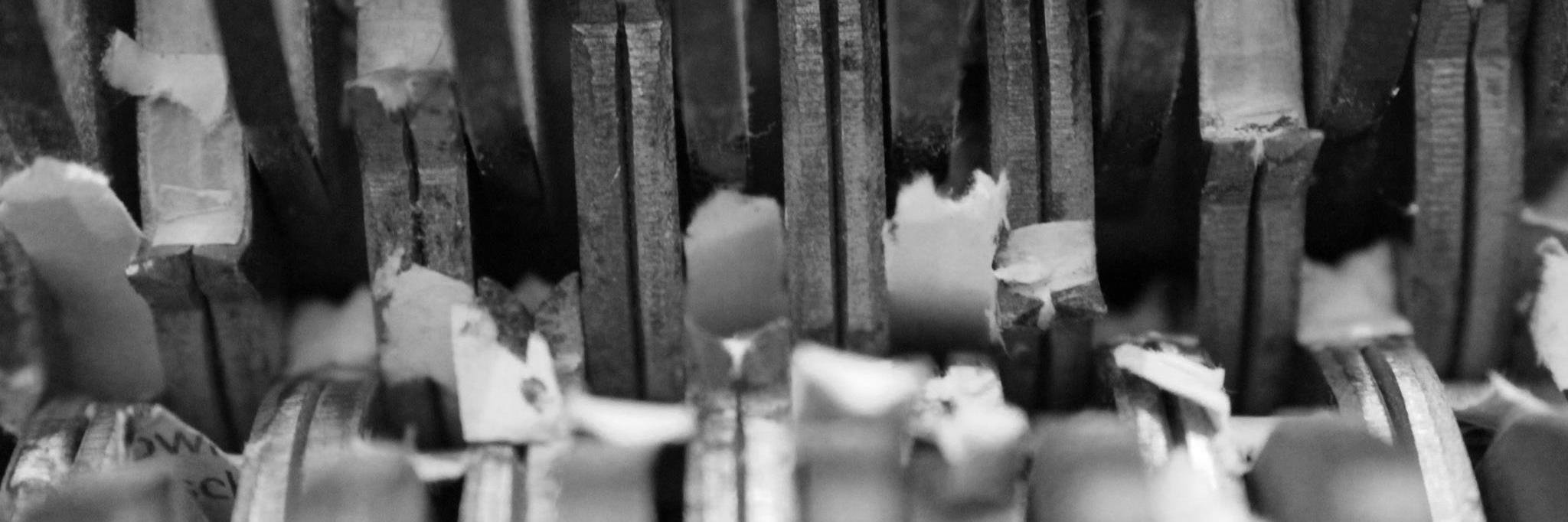 SmallBlackCat's profile banner image