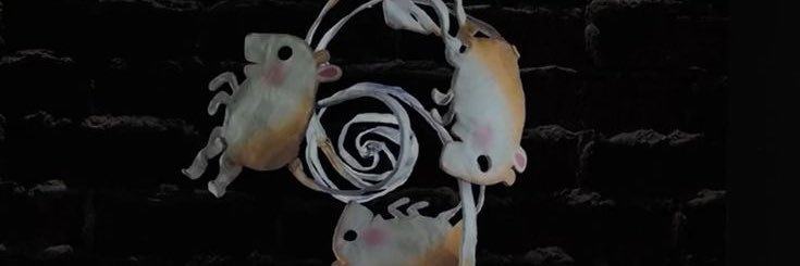 vestibulav's profile banner image