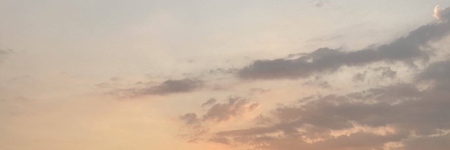 S. banner