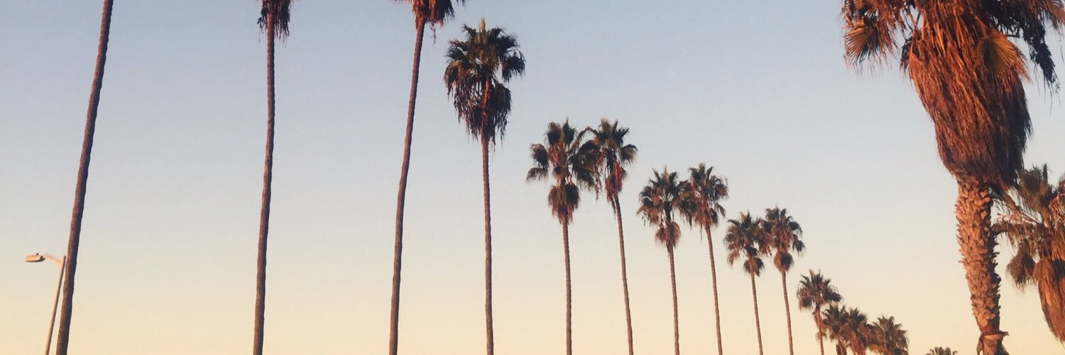 meganmcull's profile banner image