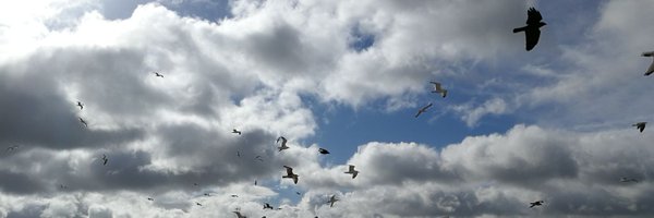 Sallyrgriffith Profile Banner