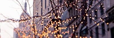 Carmen Nestares banner