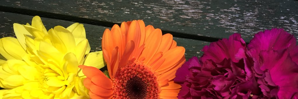 9939emma's profile banner image