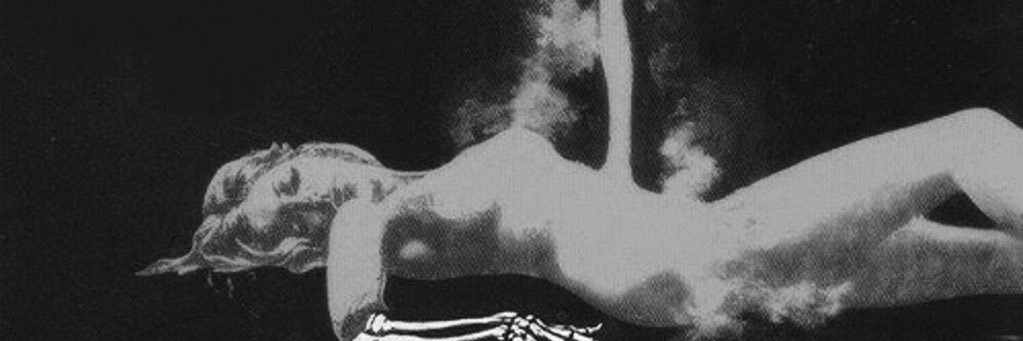 linzymejia's profile banner image