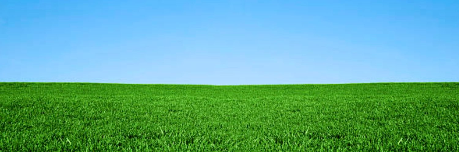 MICHAEL WILLIAMS banner