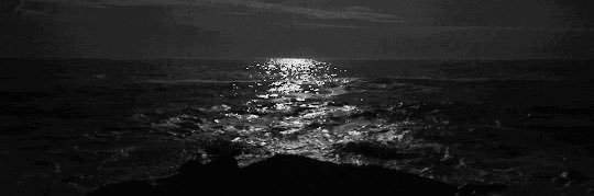 たかはしれち banner