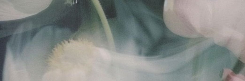 fru_its_zip_per's profile banner image