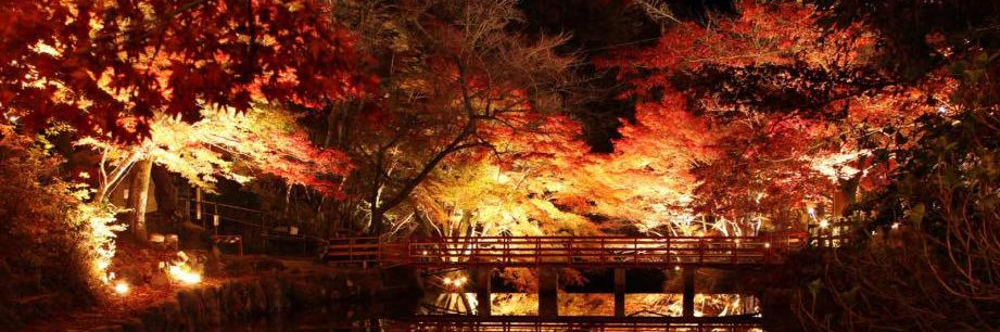 kanatto_oto's profile banner image
