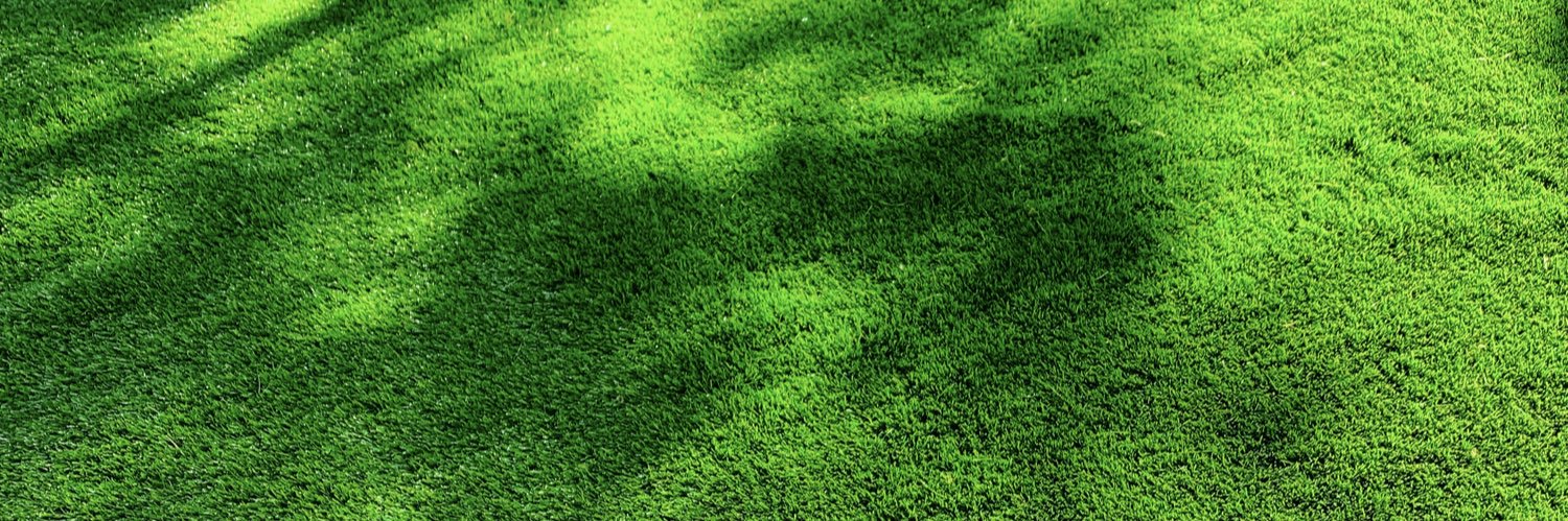 𝐄𝐝𝐠𝐚𝐫 𝐂𝐡𝐚́𝐯𝐞𝐳 𓃰 banner