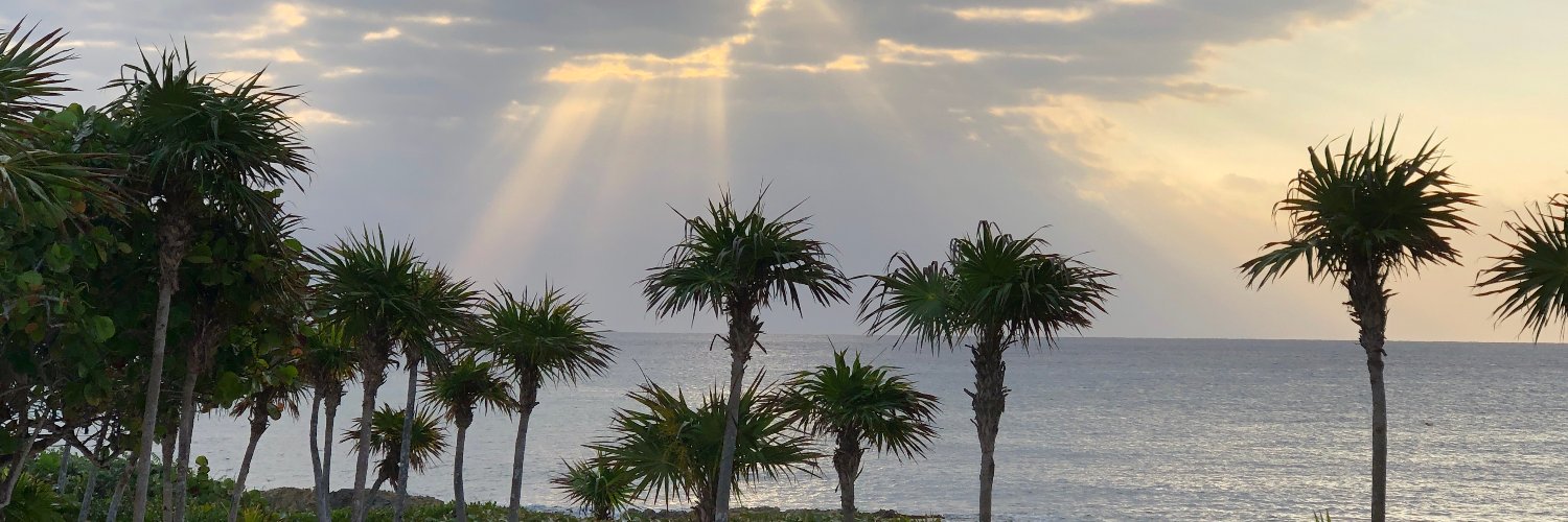 Daniel Raymond banner