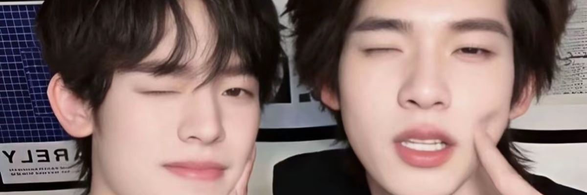 迪博以怡 banner