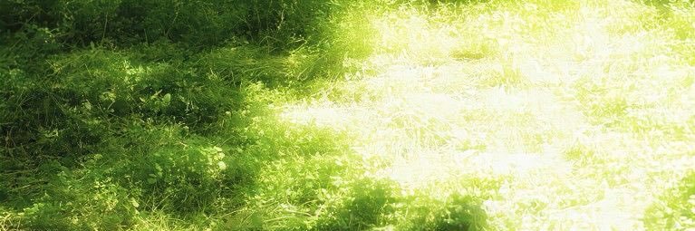 nIferr/kyu✦ banner