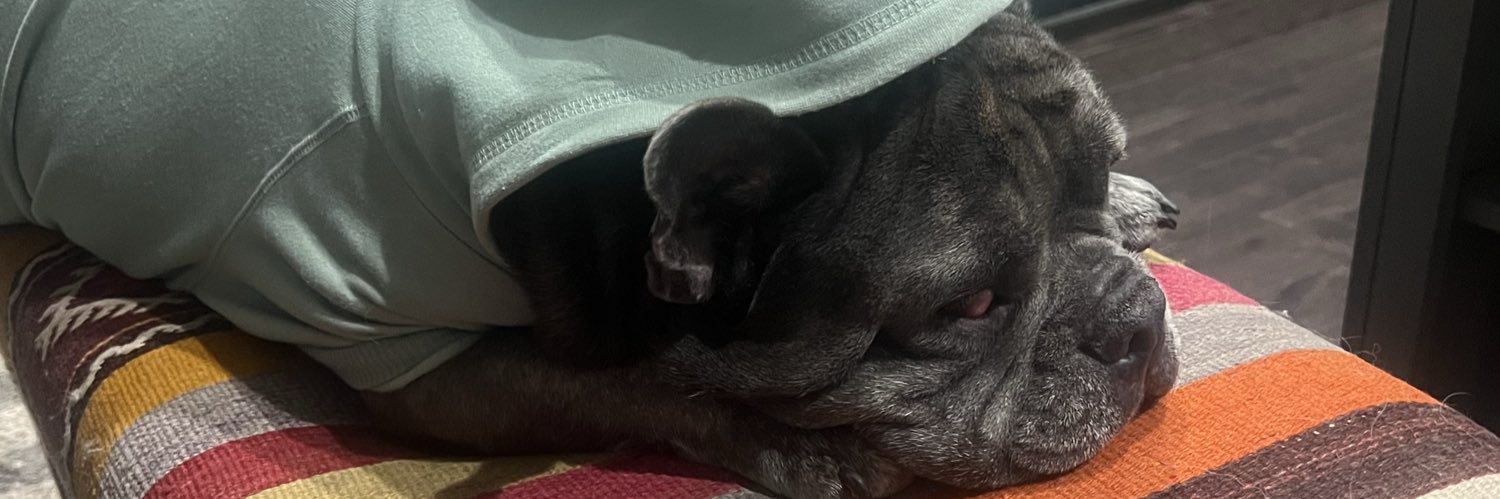 What i really think. banner