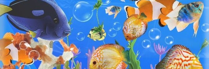 🪸🫧.. banner