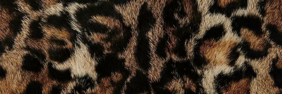 livia ⋆𐙚 ̊. banner