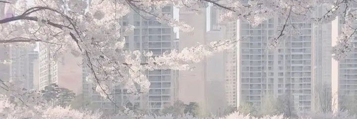 V1nny_951's profile banner image