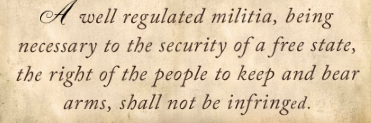 Texas_Voice of Liberty banner