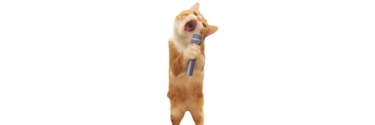 rapurr banner