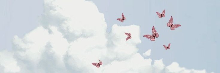 Luna_bn's profile banner image