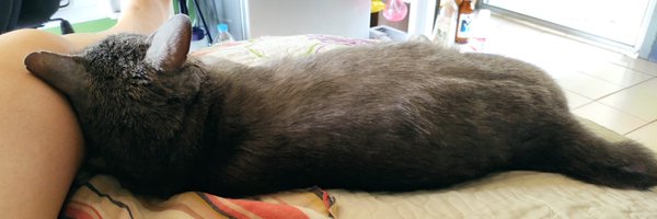 kum_i Profile Banner