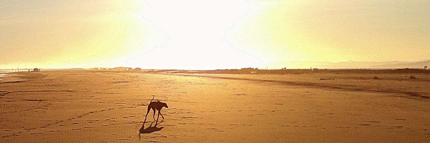 Ignacio Fernandez Jarillo banner