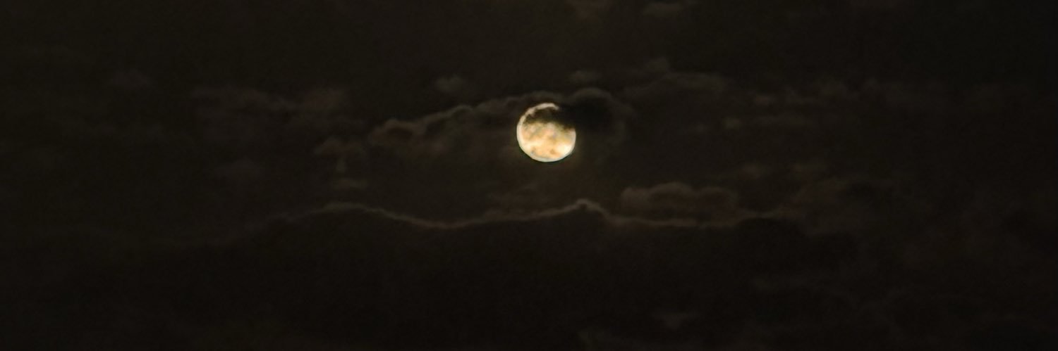 صًّـــياد banner