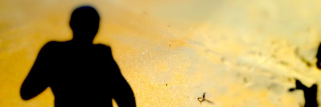 quanticus's profile banner image