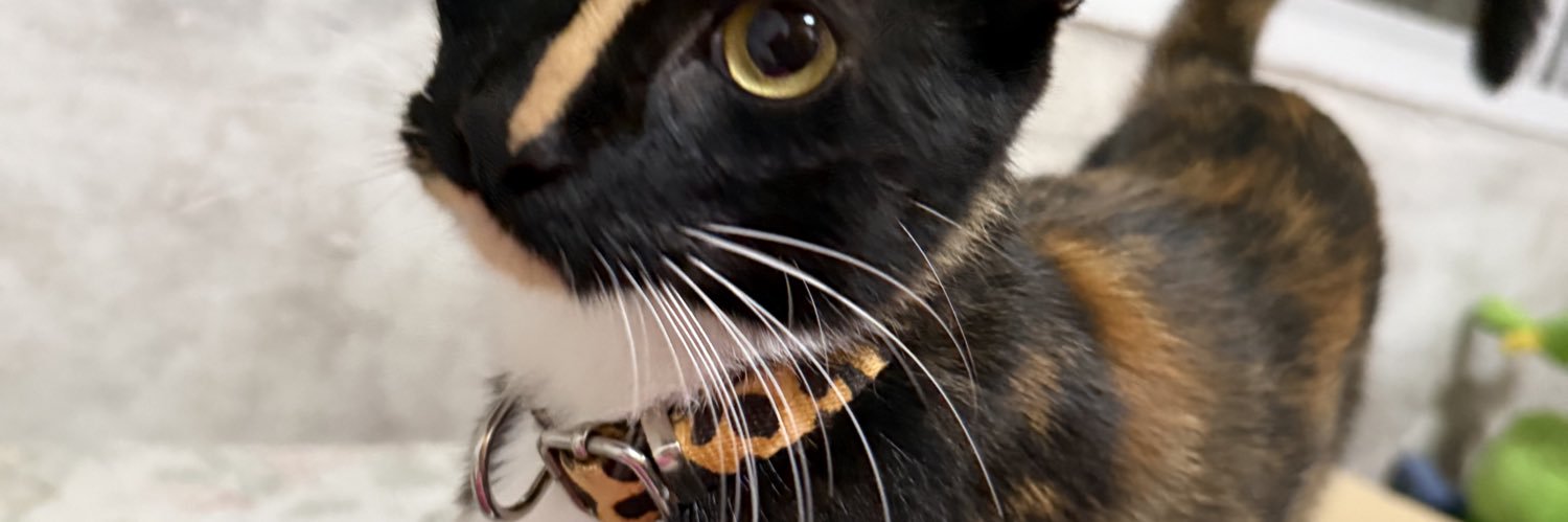 agusscanob74's profile banner image