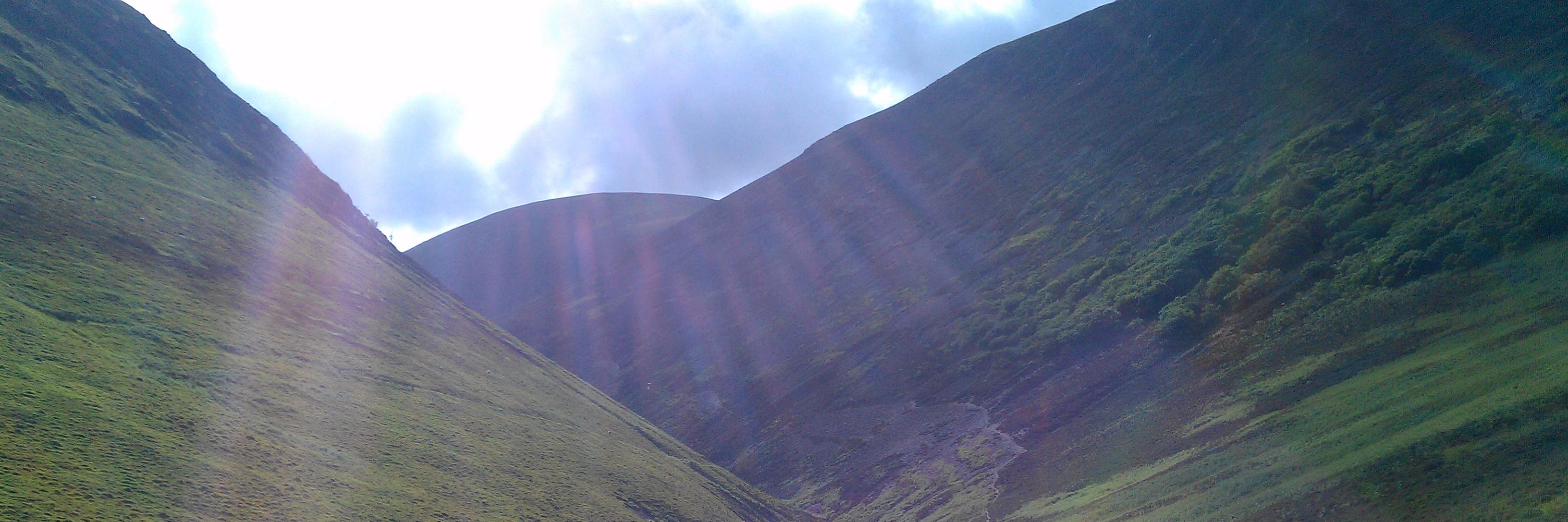 Nick Barlow isn't here banner