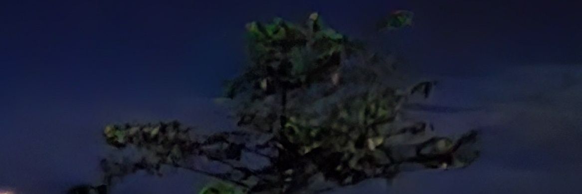 Sinto Gendeng banner
