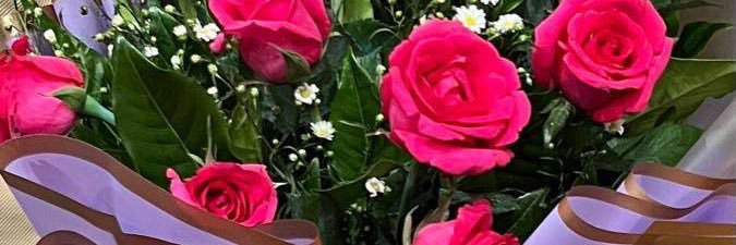 LMila87533's profile banner image