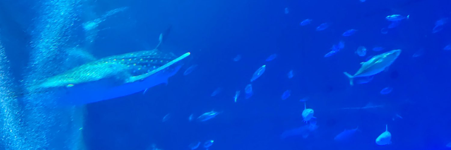 har_0p's profile banner image