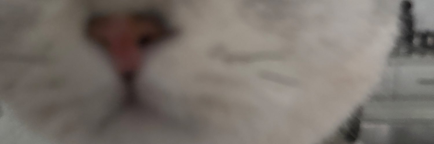 不吃豆 banner