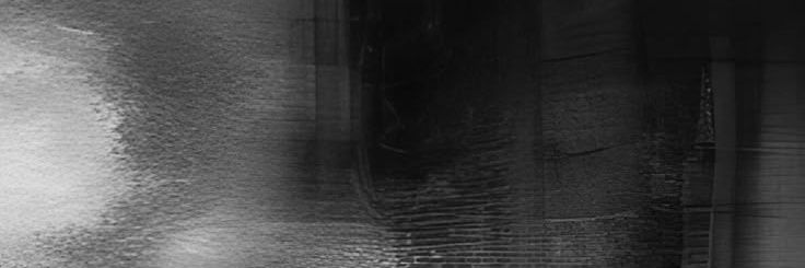 🐈‍⬛🐈 banner