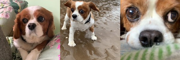 HelenReid Profile Banner