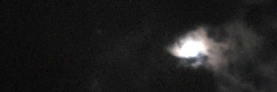 LittleDusty33's profile banner image