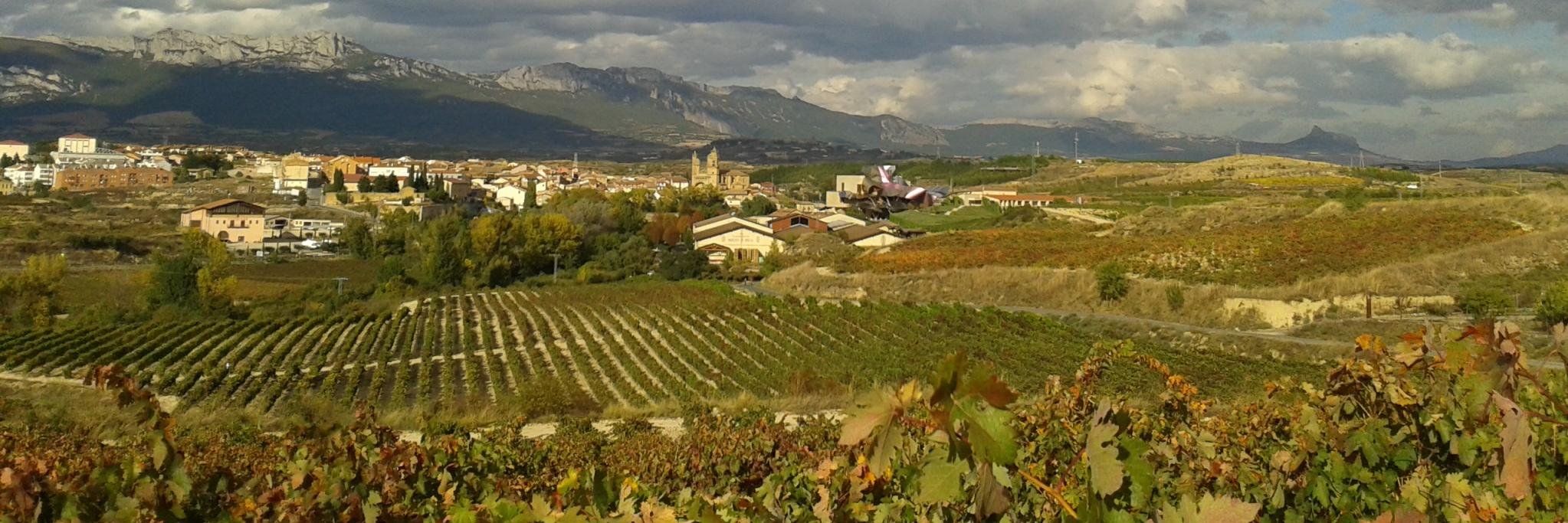 Elciego's profile banner image