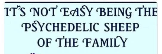 Silly Willy’s Cousin Gilly banner