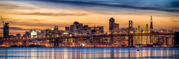 SiliconAnode Profile Banner