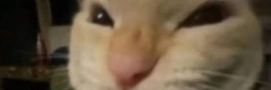 El Michi De Rabo Sub-Zero banner