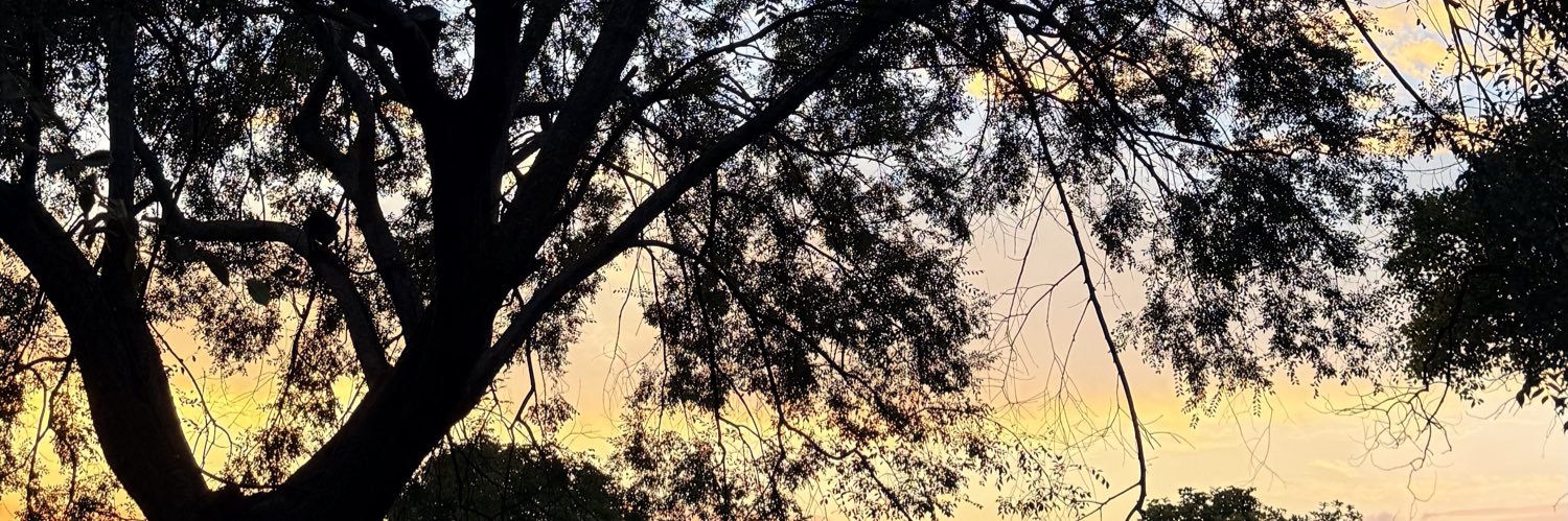 Snofy99's profile banner image