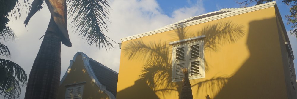 Annemarie de Wildt banner