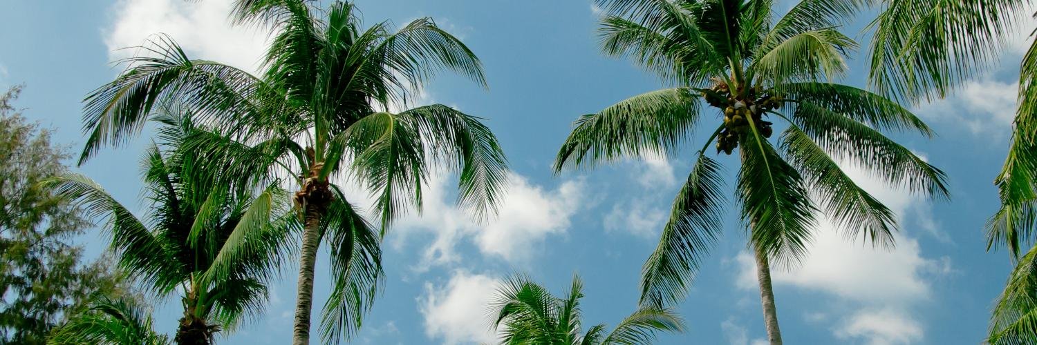 philippaseal's profile banner image