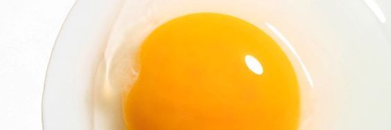 egg banner