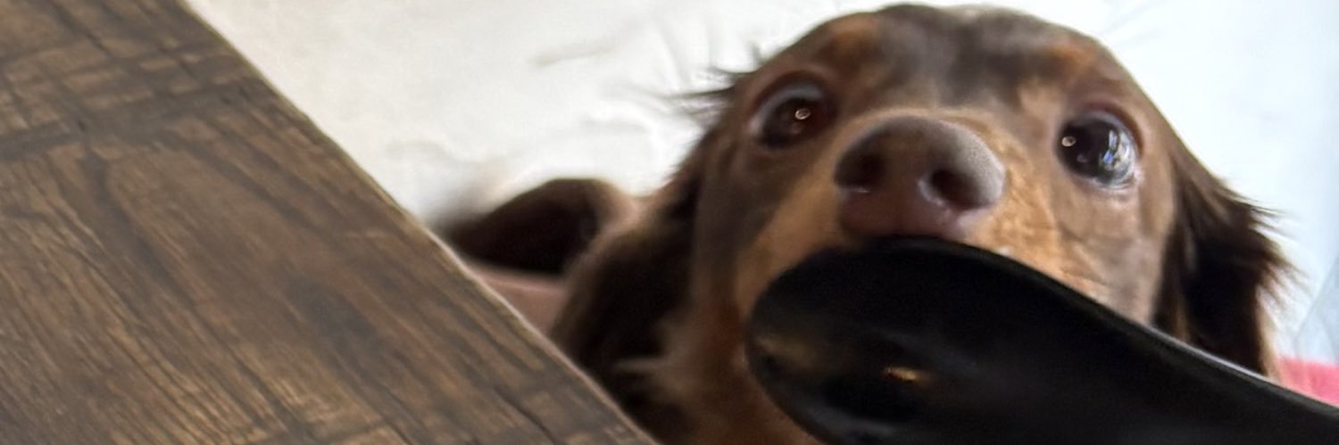 桃衣美羽 banner